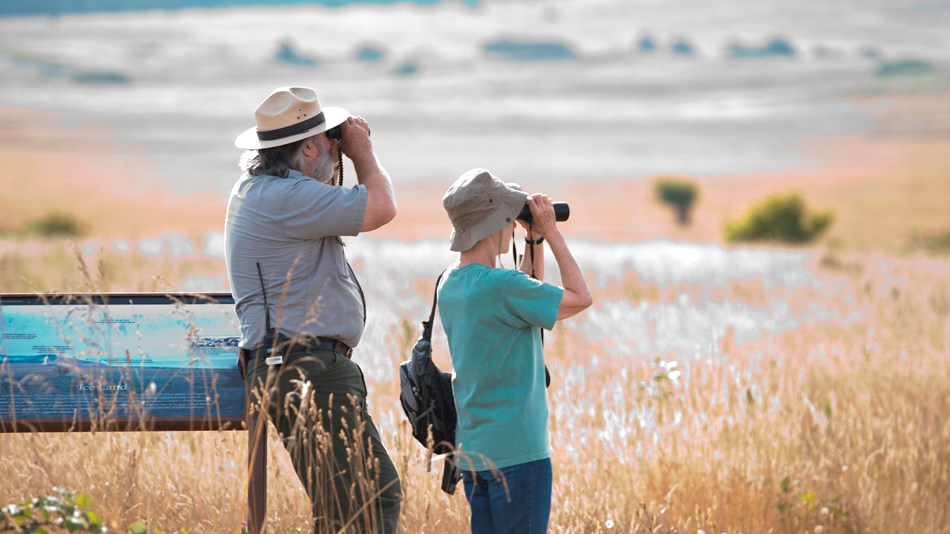 couple using binoculars to look out across a grassy field