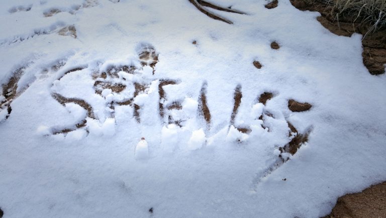 Shelly written in snow