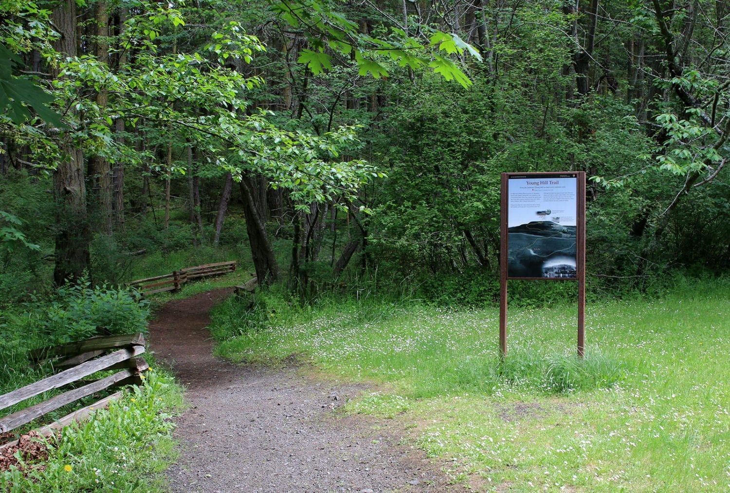 Young Hill Trailhead