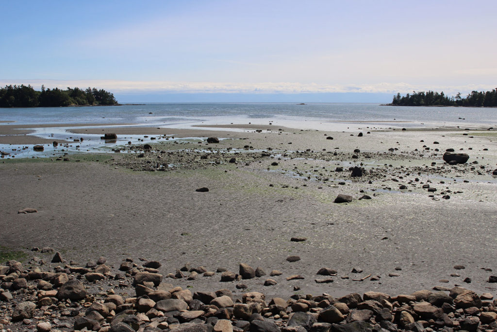 sandy beach at low tide