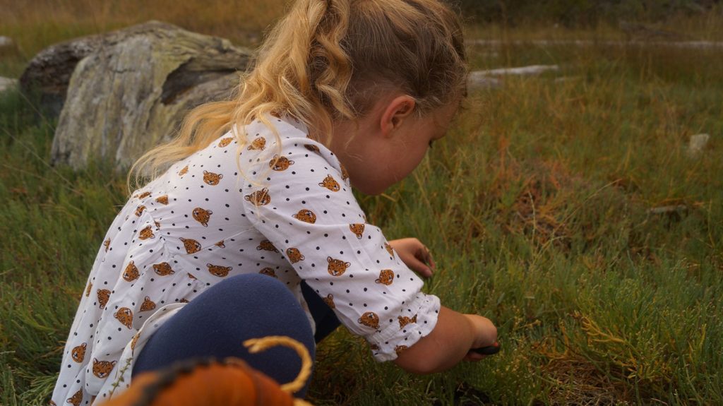 Child exploring a grassy field
