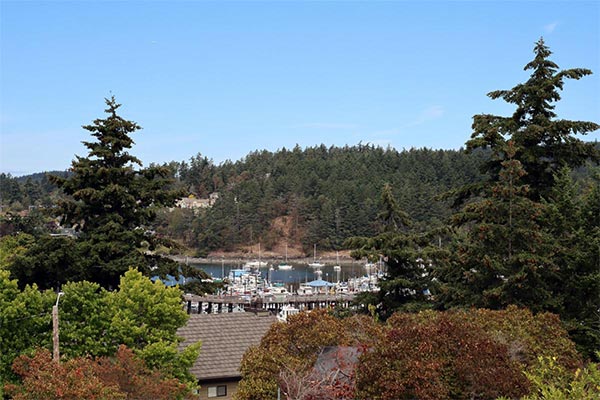 view across rooftops and trees towards a marina
