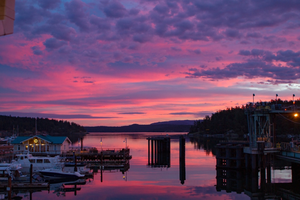 8 Of The Best Things To Do In Friday Harbor This Fall