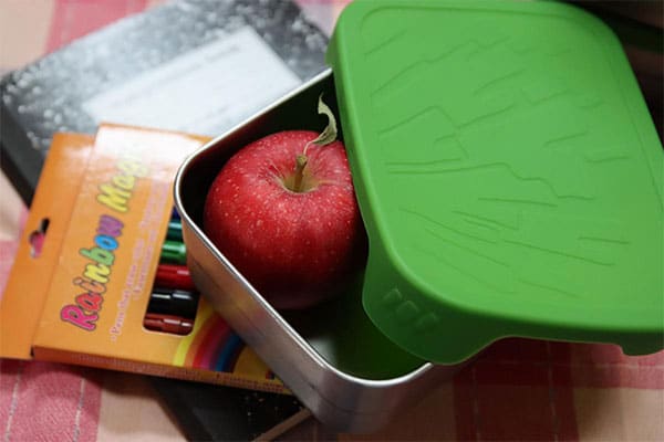 apple in a metal lunchbox